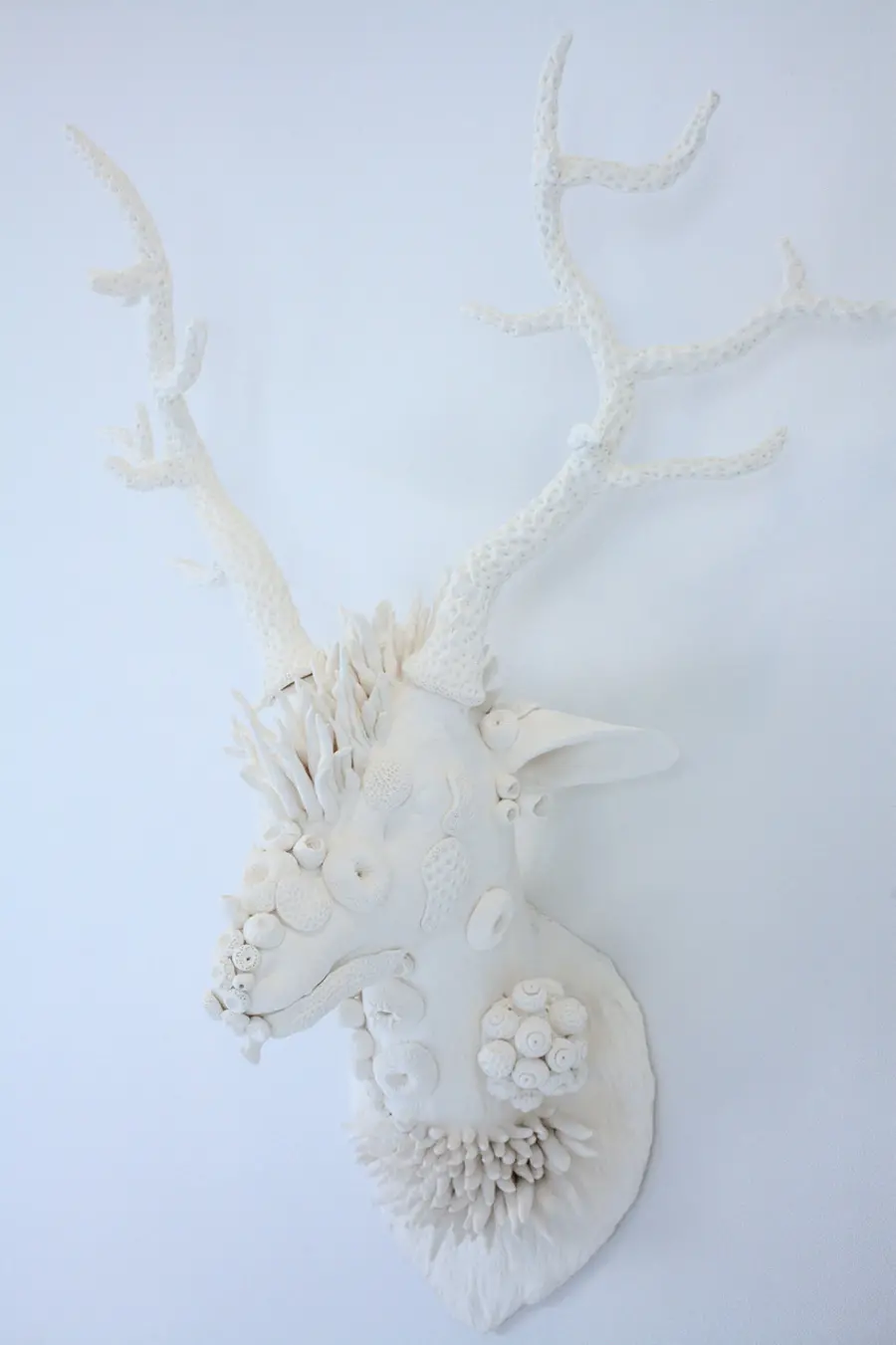Dysbiotica ‒ Deer head