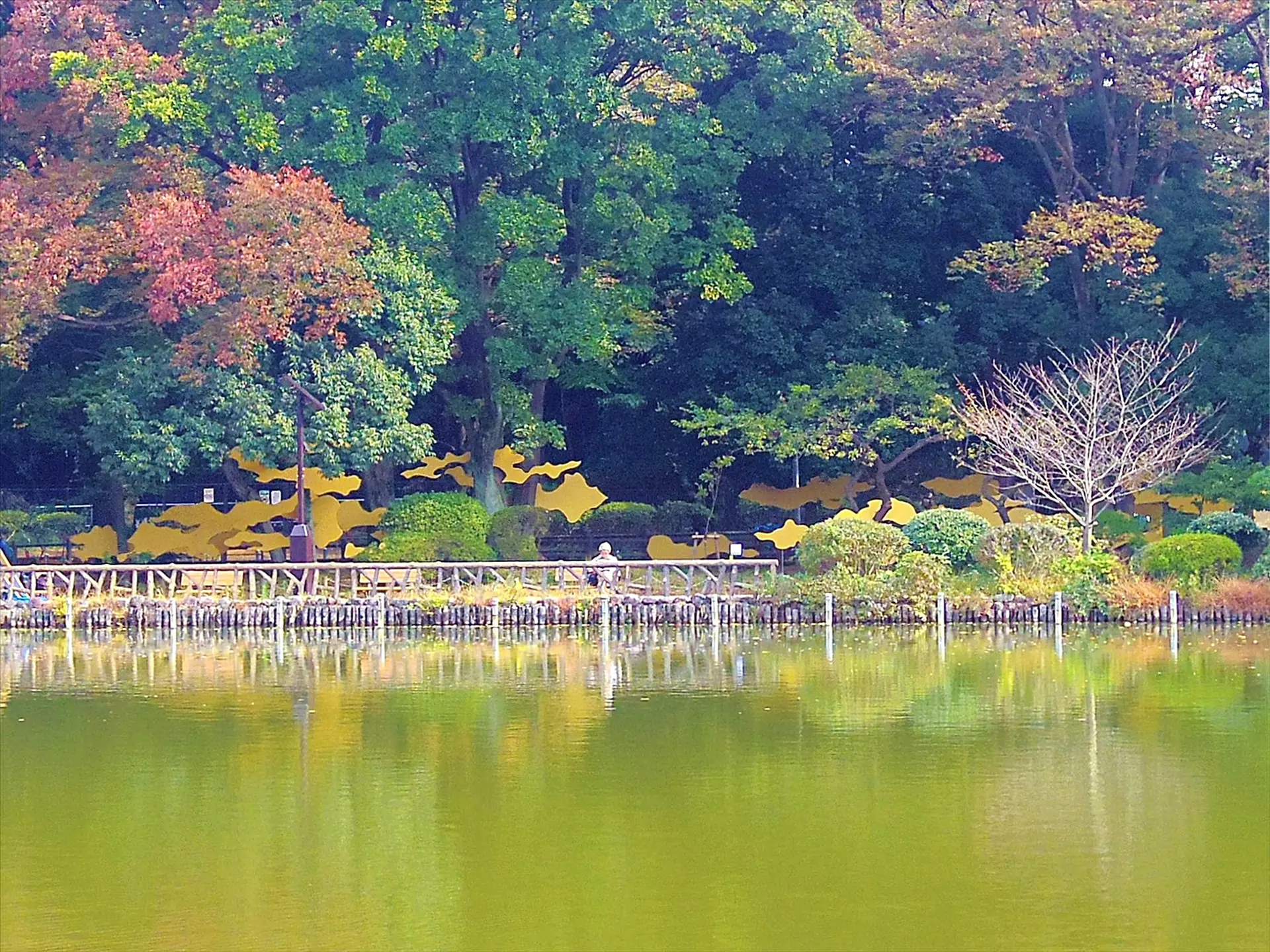 善福寺公園一角之図 by 鮫島 弓起雄 / Yumikio Sameshima | 現代
