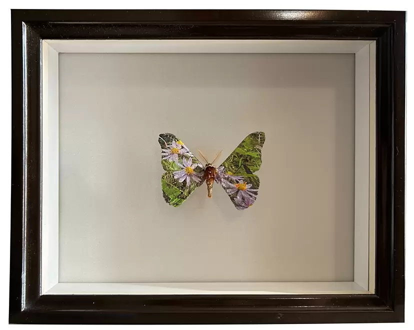 ミクストメディアのアート作品 | 現代アートの販売・通販 | ArtSticker