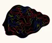 What's in your head_#6