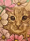 秋の猫 ーコスモスー