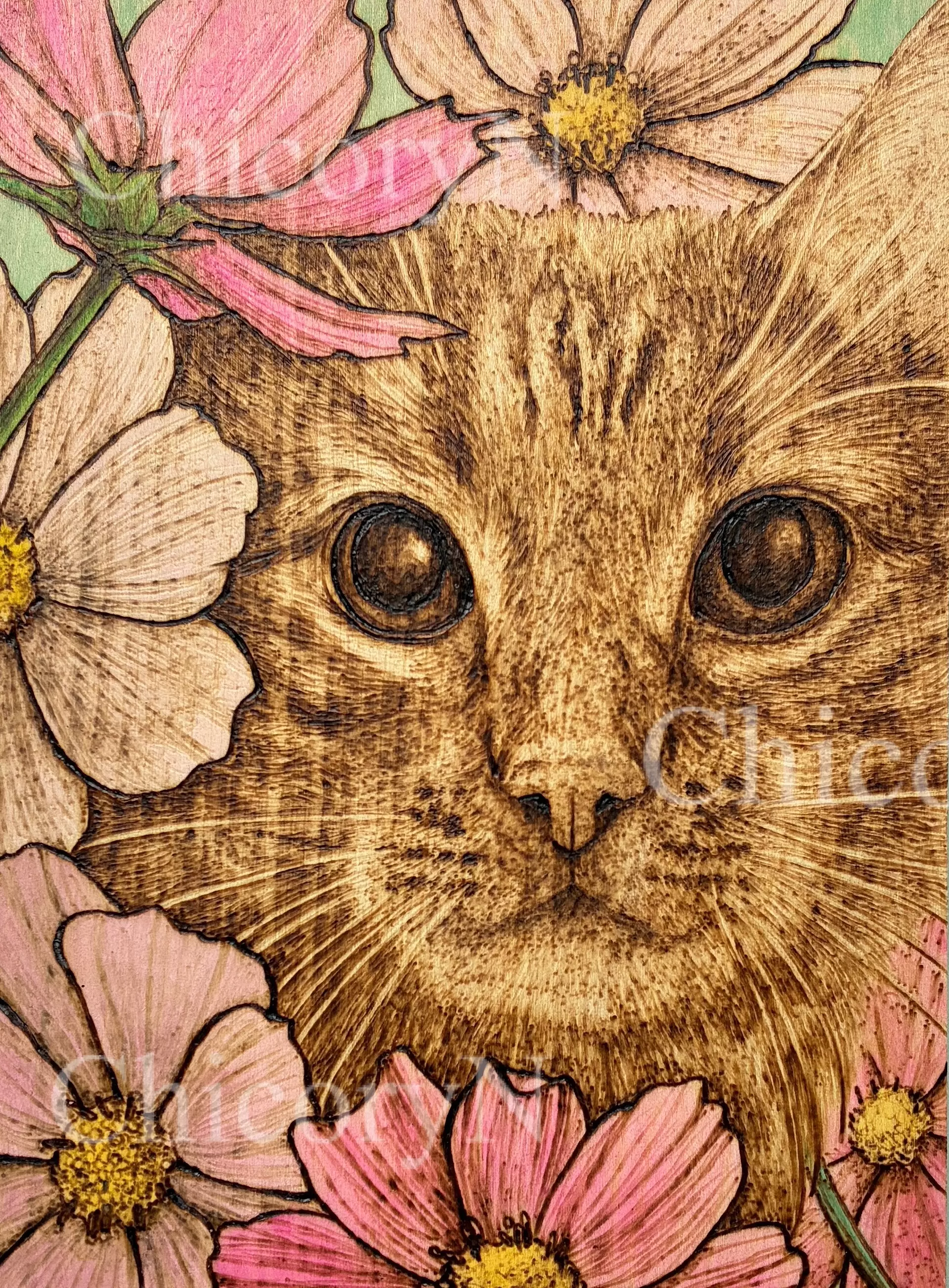 秋の猫 ーコスモスー