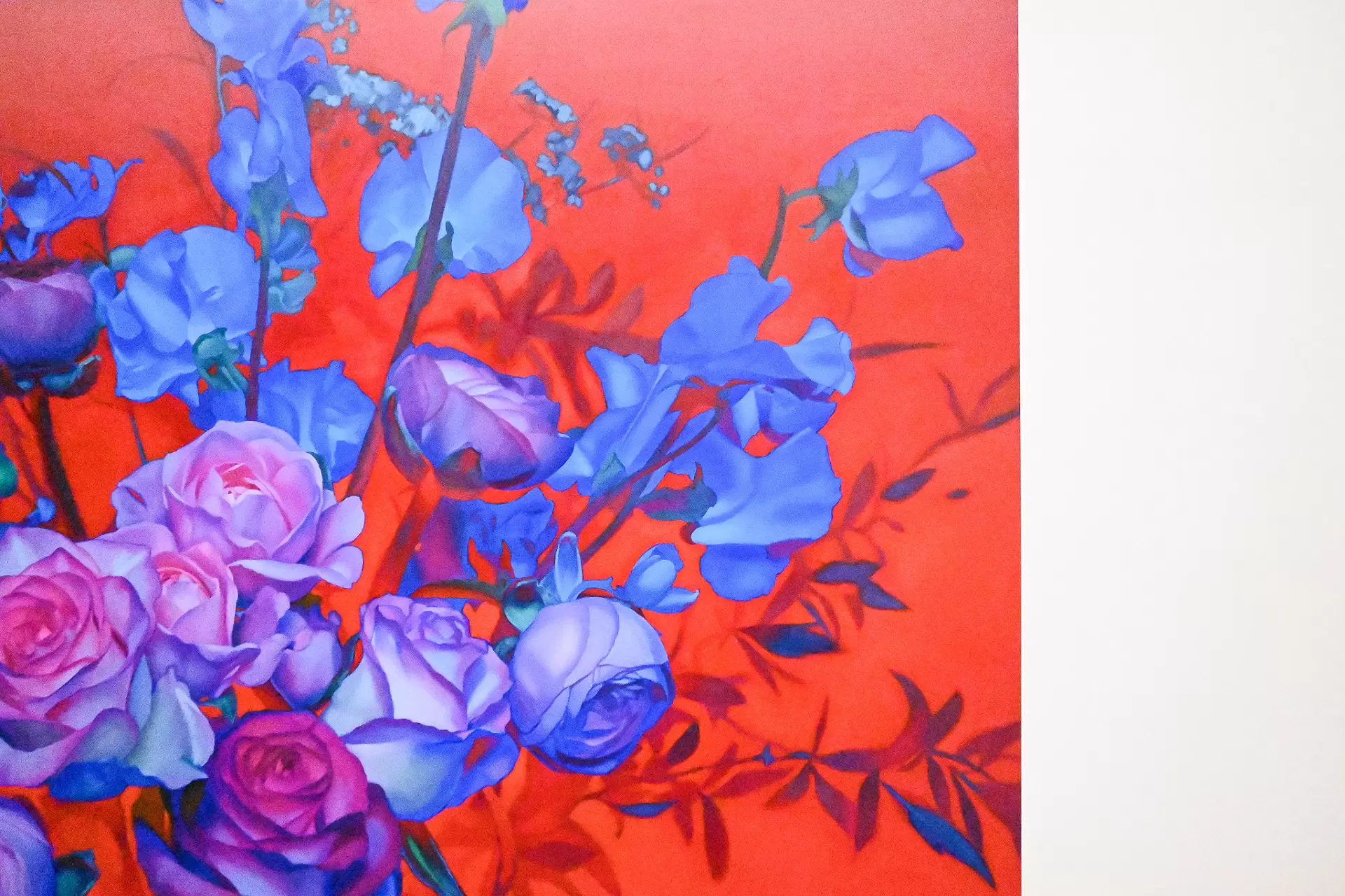 absolute difference series absolute difference series