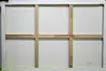 absolute difference series "Flower XIX"