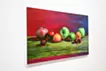 absolute difference series “Fruits IV”