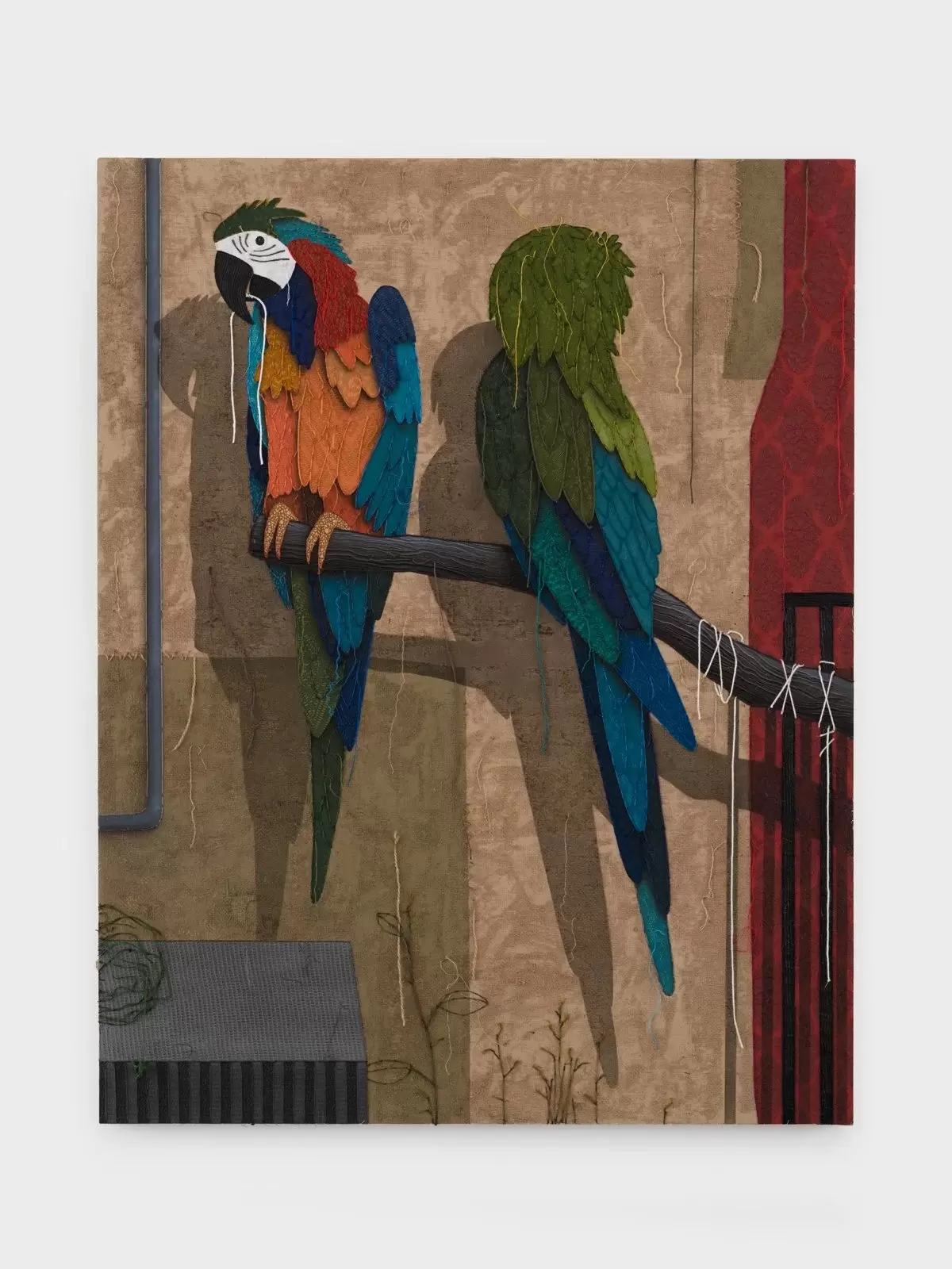 The parrots from Beto’s used tires
