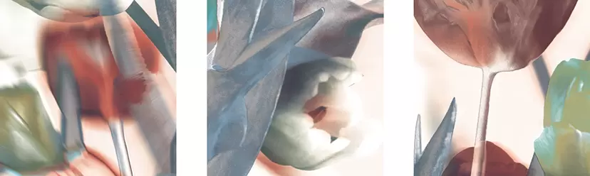 Tulips – Triptych(2025) by 楢崎恵美/EMMI NARASAKI