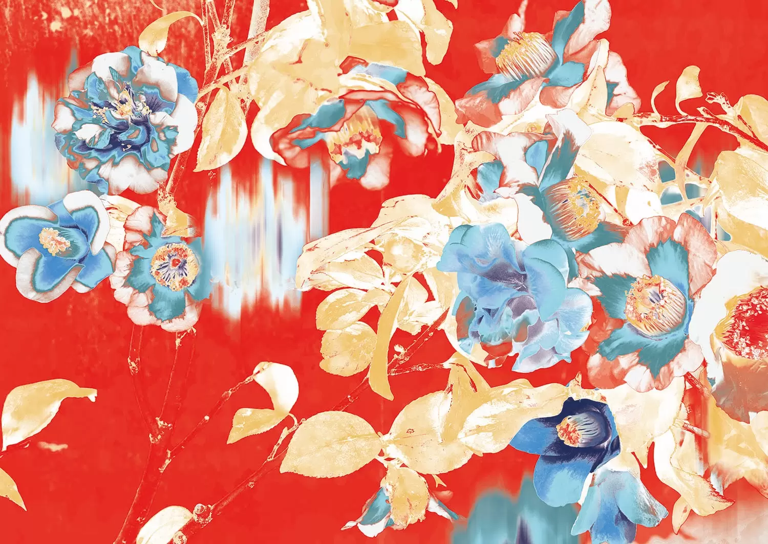 Camellia(2025)