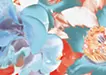 Camellia(2025)