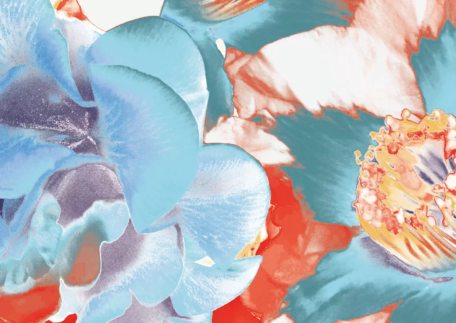 Camellia(2025) by 楢崎恵美／EMMI NARASAKI | 現代アートの販売・通販