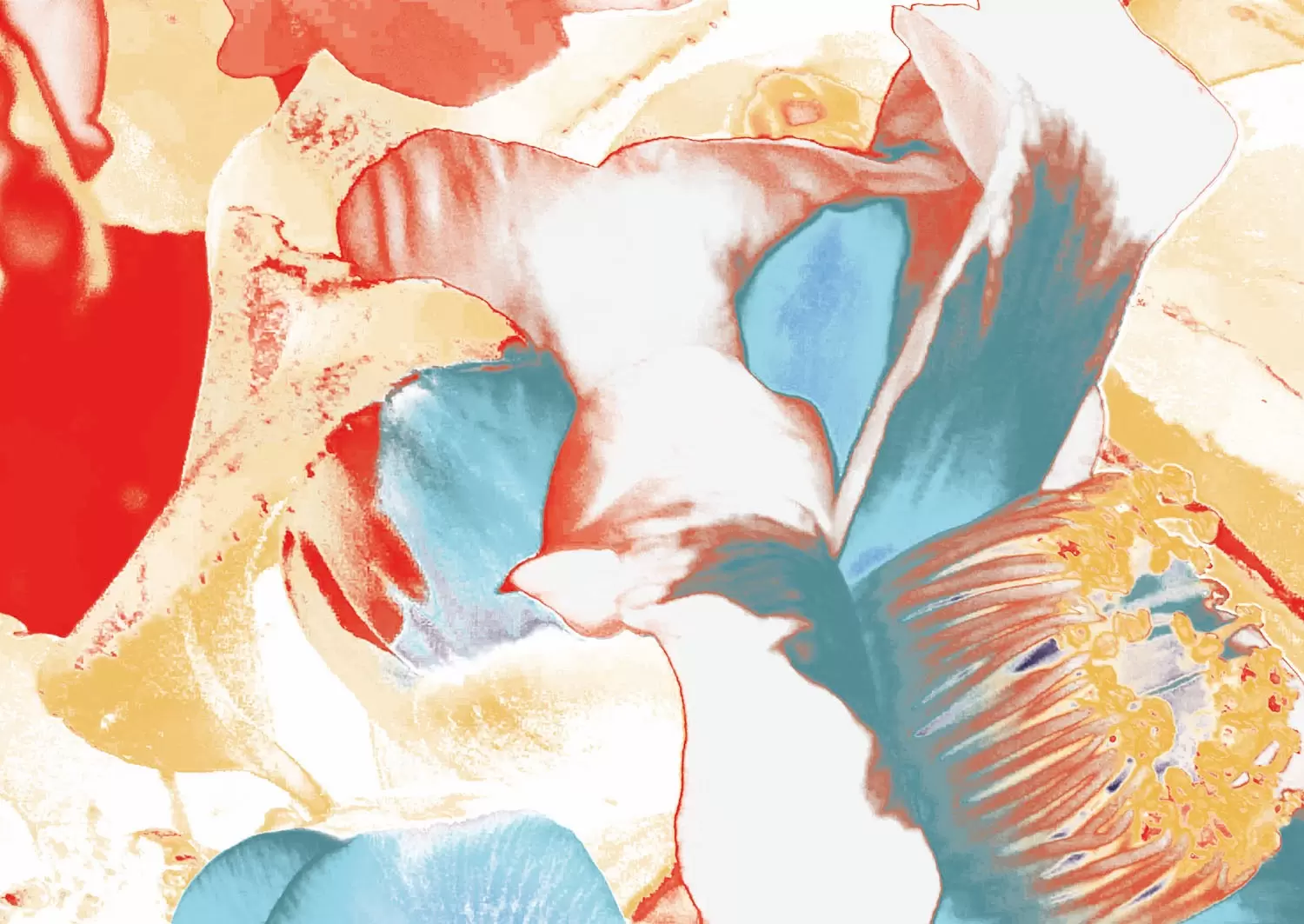 Camellia(2025) by 楢崎恵美／EMMI NARASAKI | ArtSticker