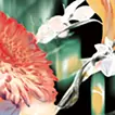 A Bouquet with Sunflower(2025)
