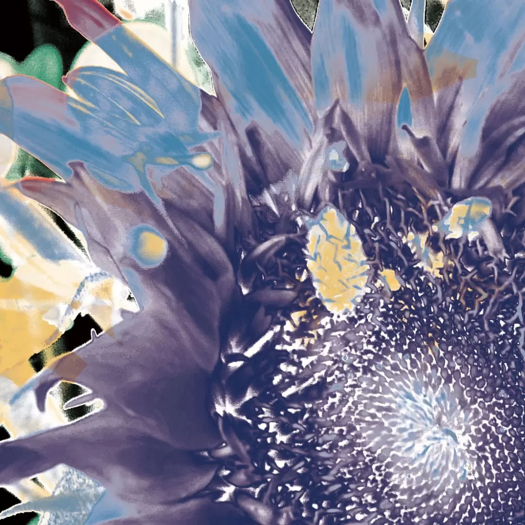 A Bouquet with Sunflower(2025) by 楢崎恵美／EMMI NARASAKI | 現代