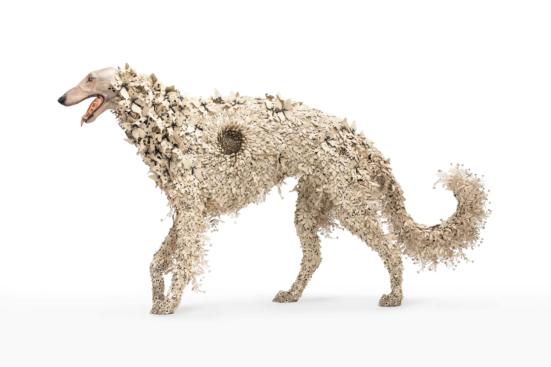 夜霧の犬 / The Dog in the Night Fog