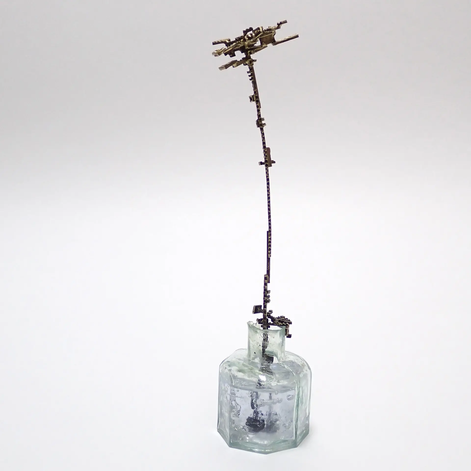 grow-flower4-