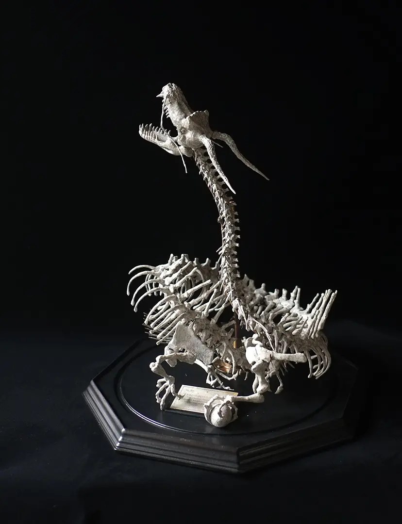 Amazon.co.jp: Generic 真鍮翼竜ドラゴン装飾手切望動物置物家の