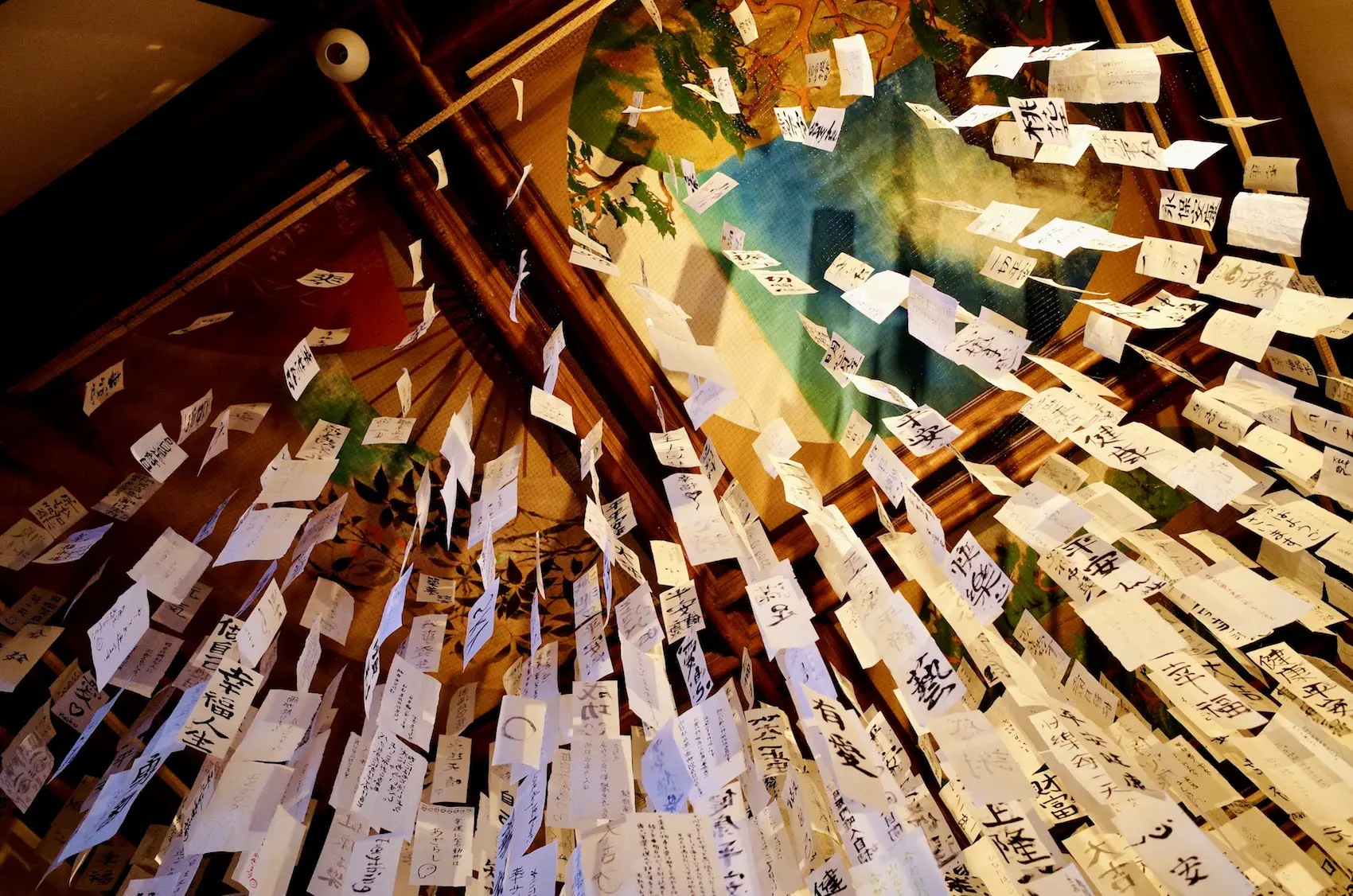 15723_160037109534612_x.webp?