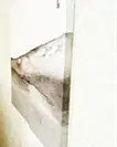 ST-Line 【雲山】