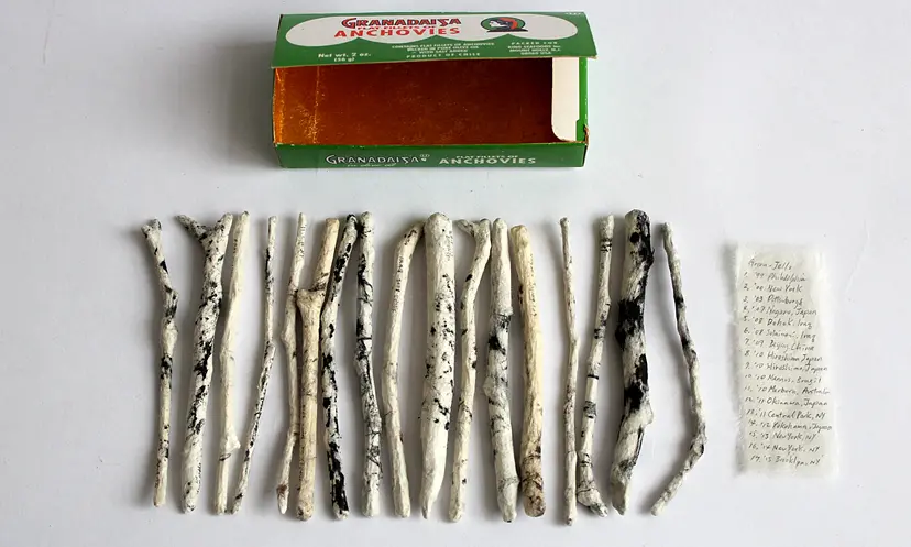 Box_ GRANADAISA ANCHOVIES by 宮森 敬子