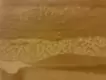 山の地