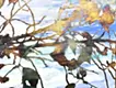 The Quiet End