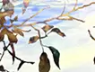 The Quiet End