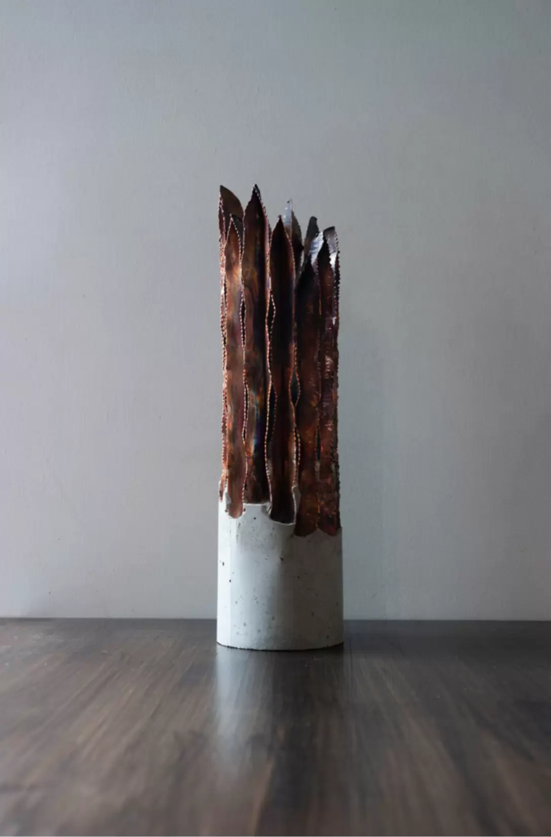skin of tree
