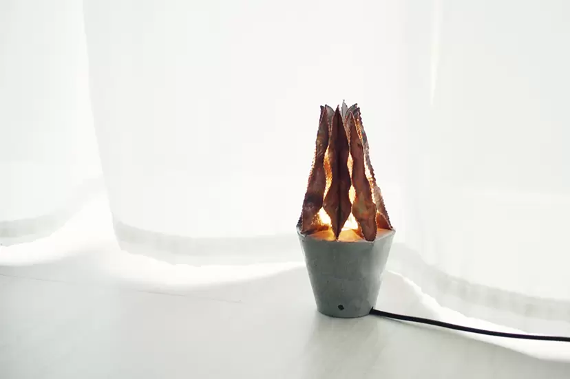 filled light iii by  井上悠理