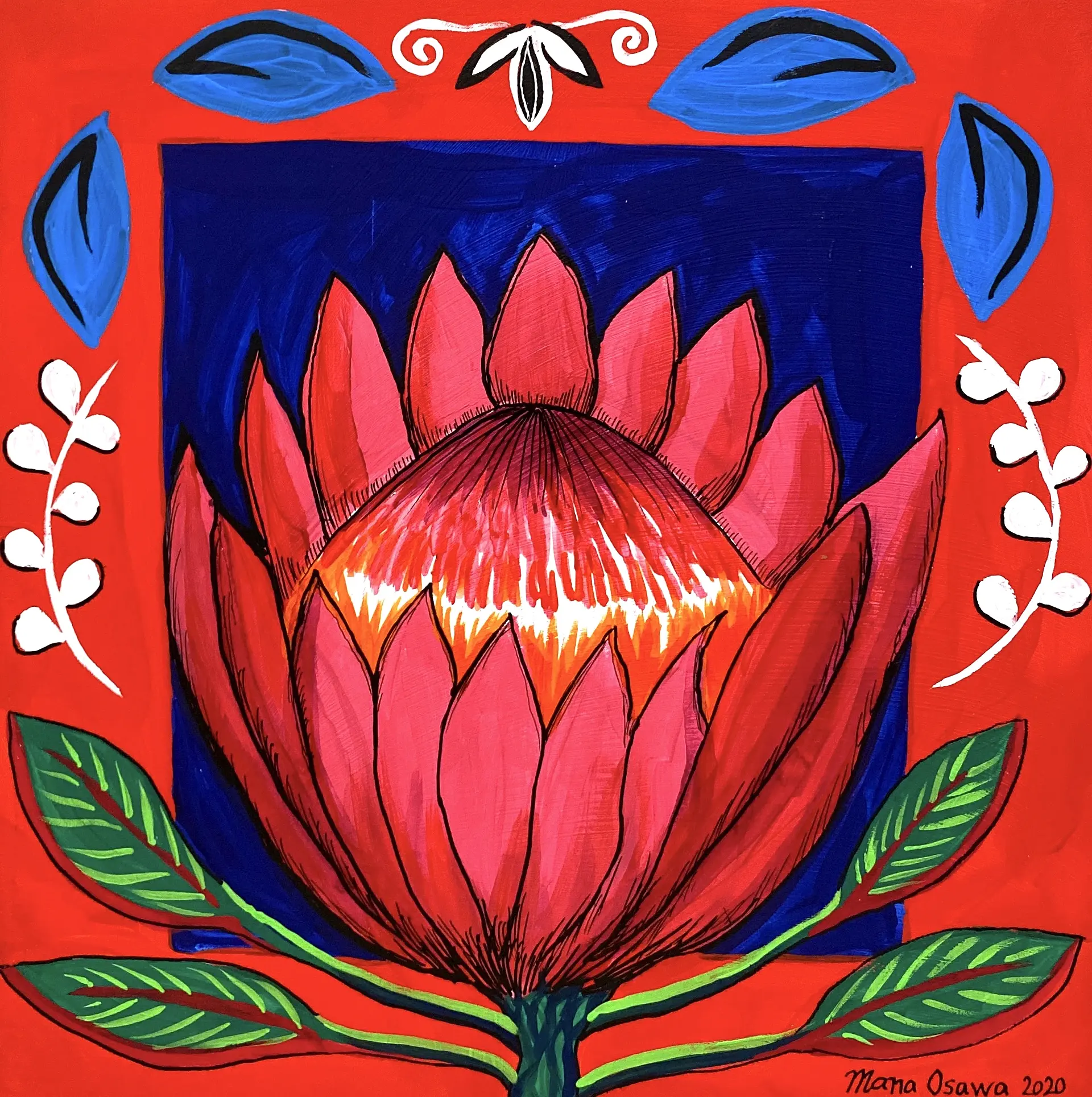 King Protea M