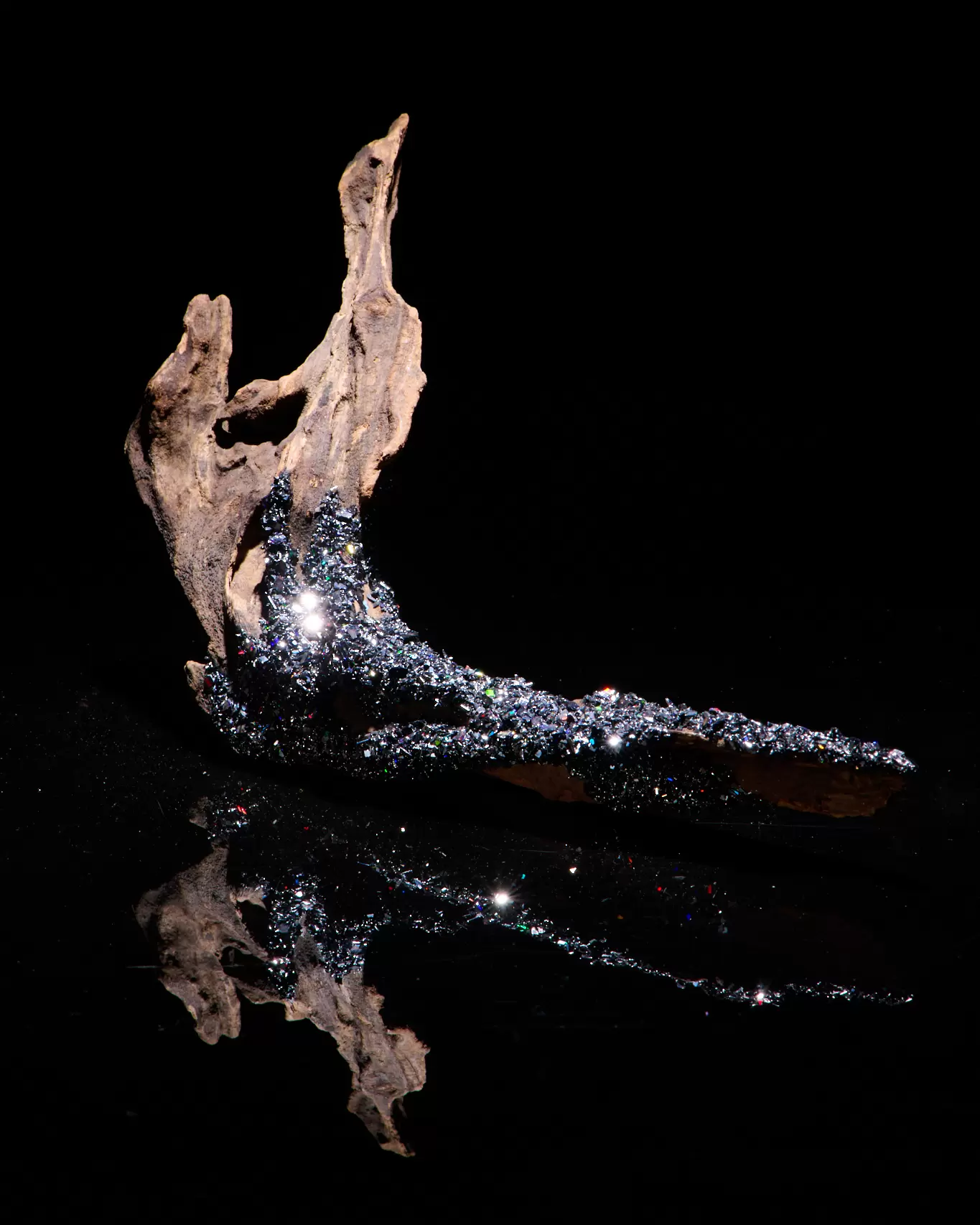 approx. - contour / driftwood #1