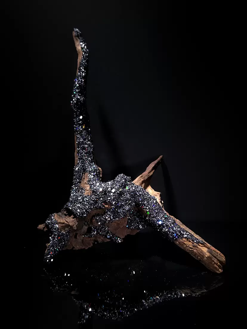 淵上 直斗 Naoto Fuchigami のアート作品 | 現代アートの販売・通販