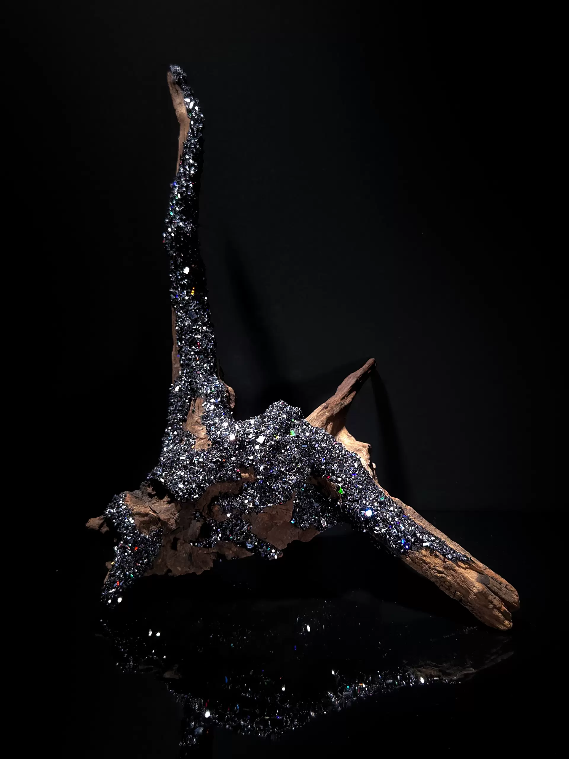 approx. - contour / driftwood #2