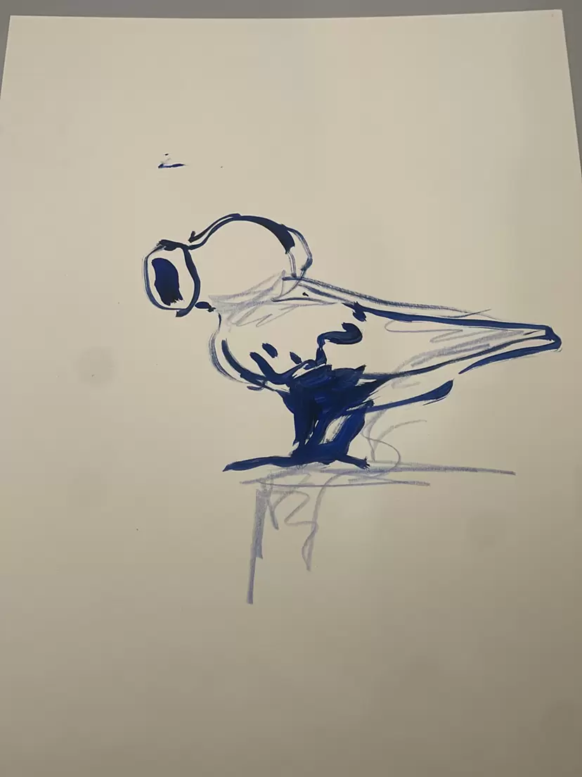 線画・drawingのアート作品 | 現代アートの販売・通販 | ArtSticker