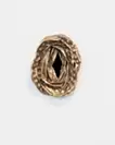 Vulva