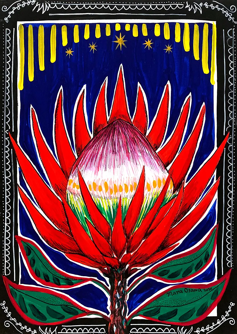 King Protea II by Mana Osawa / 大沢愛