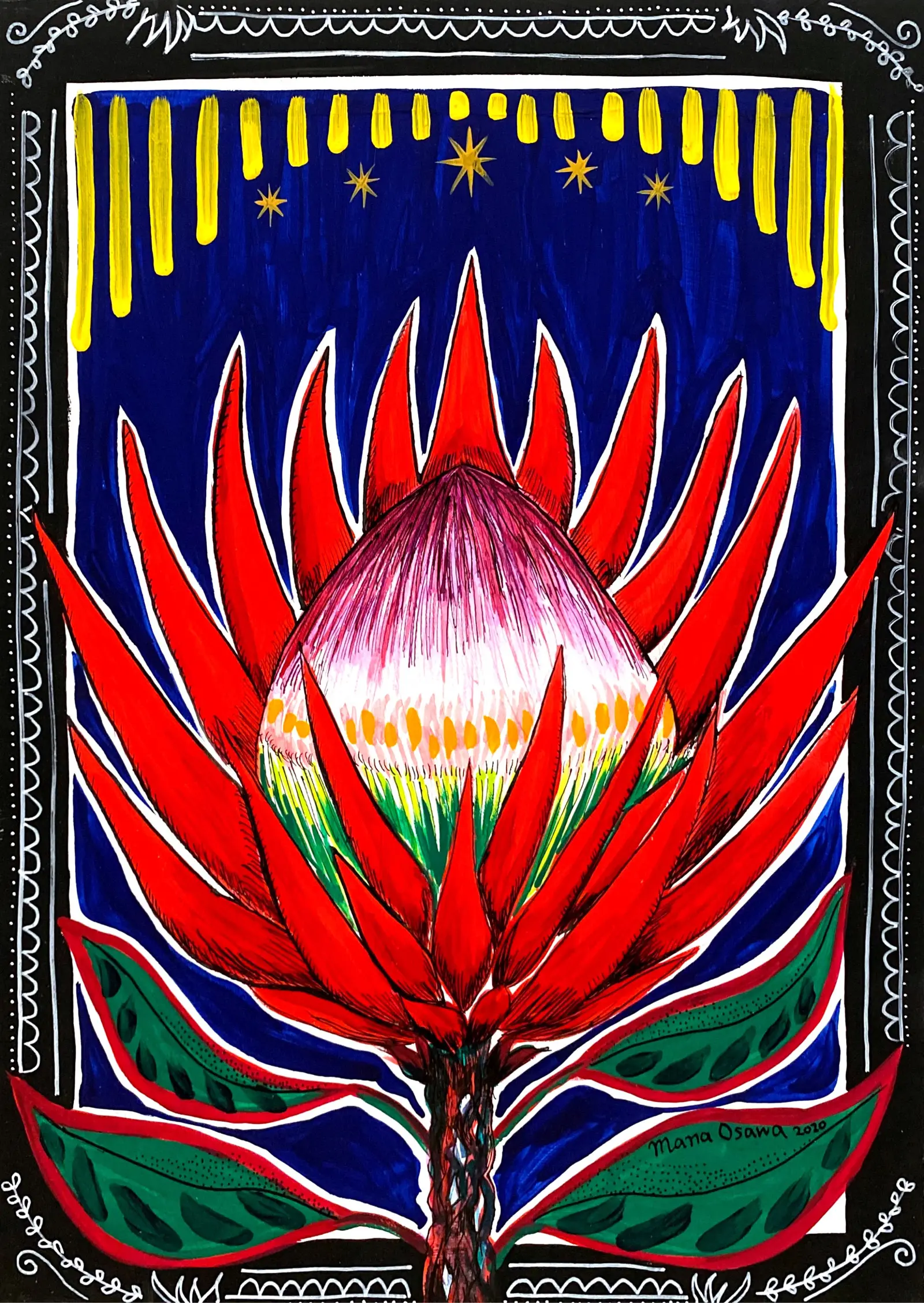 King Protea II