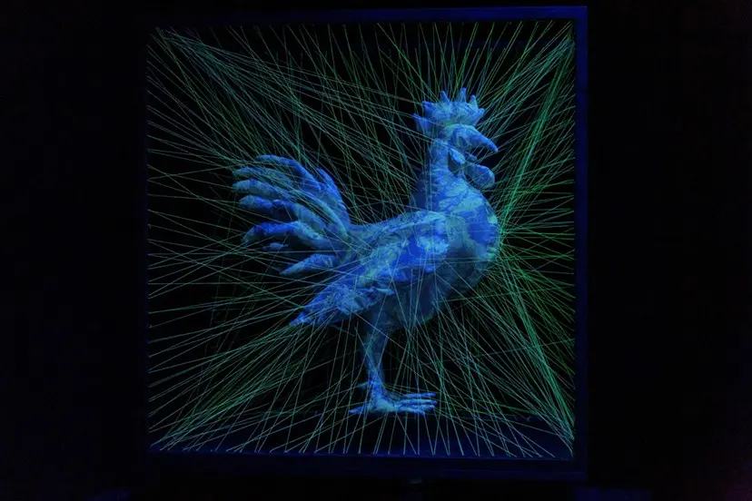 Modified Paradise "ROOSTER" by Another Farm