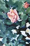 A Memory of flowers