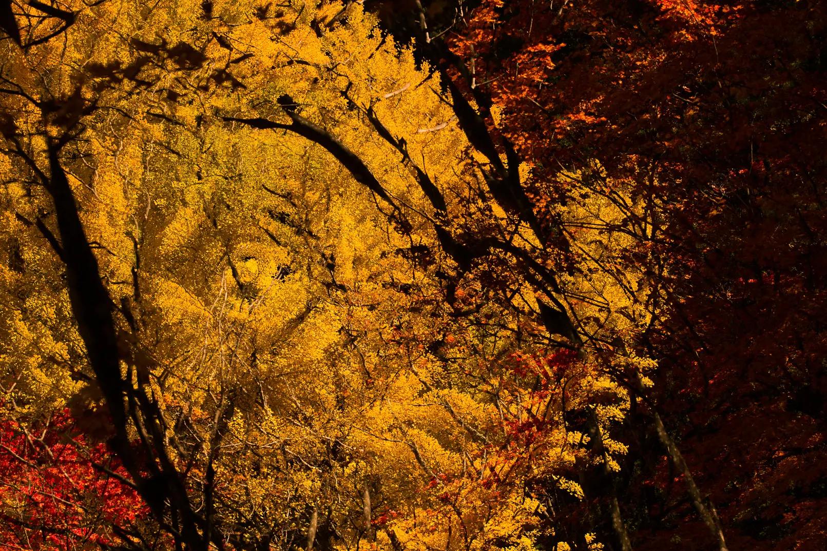 Dimension_# 17