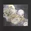 銀夜祭 / Echoes of Silver Dusk