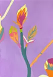 芽