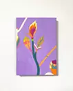 芽
