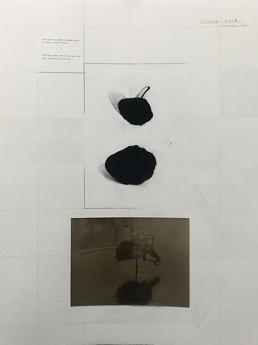 鷲津民子 Tamiko Washizu のアート作品 | 現代アートの販売・通販