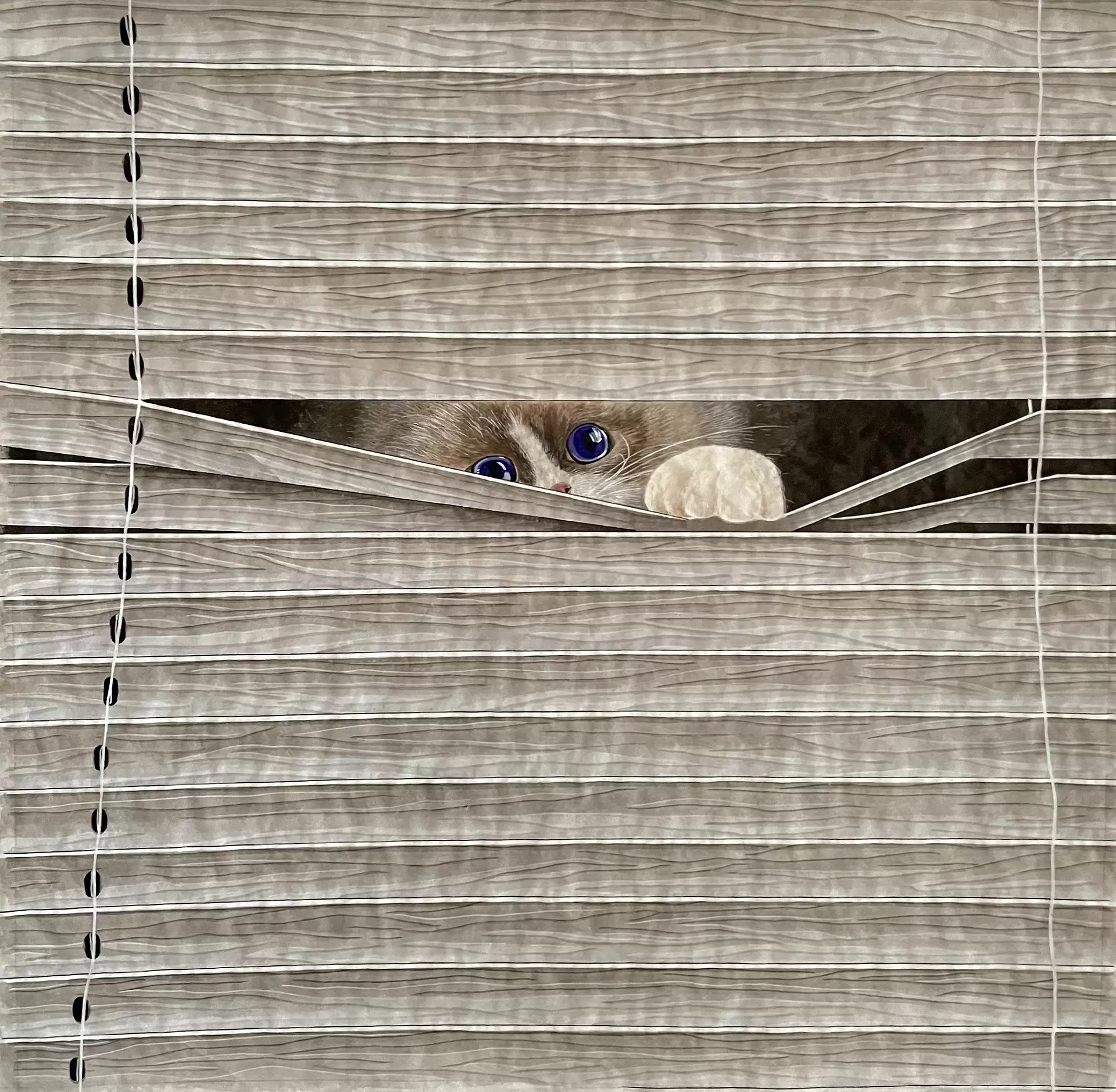 Across the Window: Inside the Pane