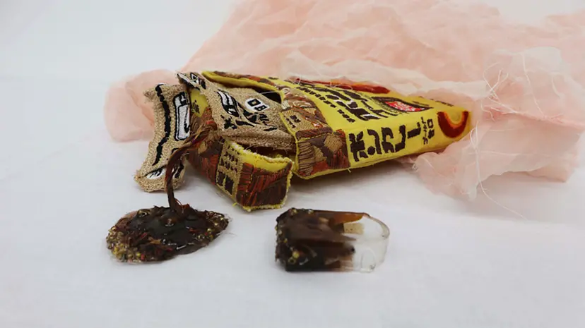 『Garbage jewelry -ゴミの宝石-』　NO.1レトルトカレー by 江藤 菜津美