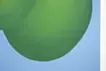 green trio