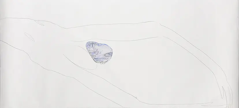 shell by Rikako Kawauchi