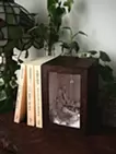 遥か