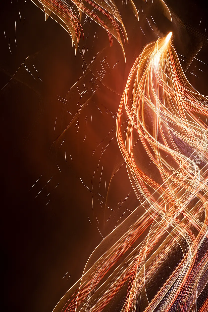16695_160730215129003_l.webp?