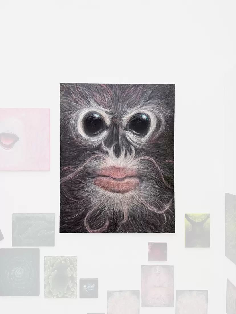 Catfish Monkey  by Unpyo  gallery